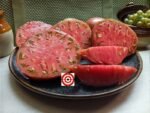 Bear Creek Tomato
