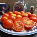 Biaby R Sharp Tomato