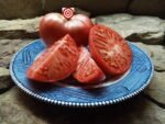 Brandywine from Croatia Tomato
