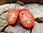 Brandywine From Croatia Tomato Seeds