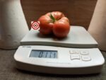 CW Leonis Red Tomato