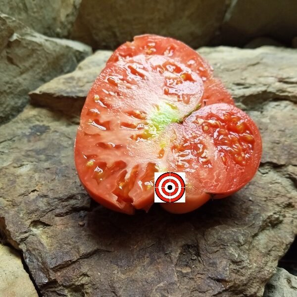 CW Leonis Tomato Seeds