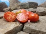 Charnue De Huy Tomato Heirloom Tomatoes