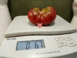 Crimson Sockeye Dwarf Tomato Container Tomatoes.