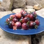 Dancing With Smurfs Tomato Antho Cherry Tomatoes