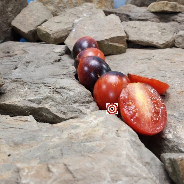 Dark Tiger Tomato Elongated Tomatoes