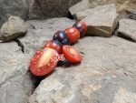Dark Tiger Tomato Snacking Tomatoes