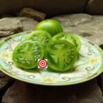 Dean's Mean Little Green Dwarf Tomato