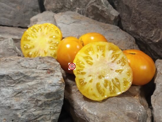 Dirty Little Chicken Tomato