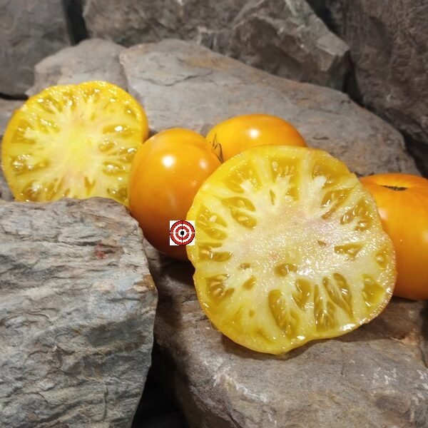 Dirty Little Chicken Tomato