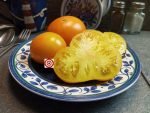 Dirty Little Chicken Tomato by Dean Slater