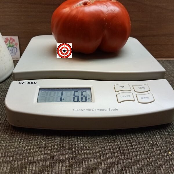 Dolmac Dolenjski Tomato