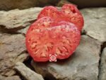 Dolmac Dolenjski Tomato Seeds