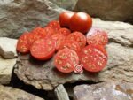Dubok (Little Oak) Tomato - Image 6