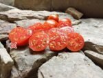 Dubok (Little Oak) Tomato - Image 3