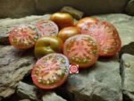 Dwarf Andy's Forty Tomato - Image 5