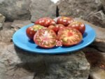 Dwarf Crimson Sockeye Tomato.