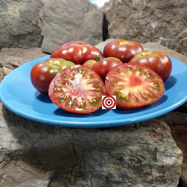 Dwarf Crimson Sockeye Tomato.