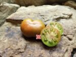 Dwarf Crimson Sockeye Tomato Seeds