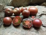 Dwarf Velvet Night Tomatoes