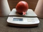 Large Heirloom Tomato Brandywine From Croatia Tomato