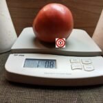 Large Heirloom Tomato Brandywine From Croatia Tomato