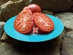 Large Red Tomato Brandywine From Croatia Tomato