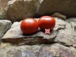 Dubok (Little Oak) Tomato - Image 5