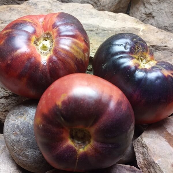 Antho Tomato Sgt Pepper Tomato Seeds Available Here.