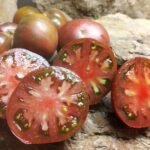 ADELAIDE FESTIVAL DWARF TOP 10 TOMATOES BLACK STRIPED