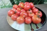 Brandywine Cherry Tomato - Image 8