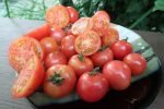 Brandywine Cherry Tomato - Image 7