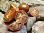 BUDDY'S BOUNTIFUL SALAD TOMATOES