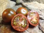 BUDDY'S BOUNTIFUL TOMATO STRIPED TOMATOES