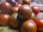 BUDDY'S BOUNTIFUL TOMATO STRIPED TOMATOES
