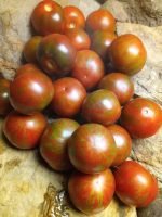 Buddy's Bountiful Tomato
