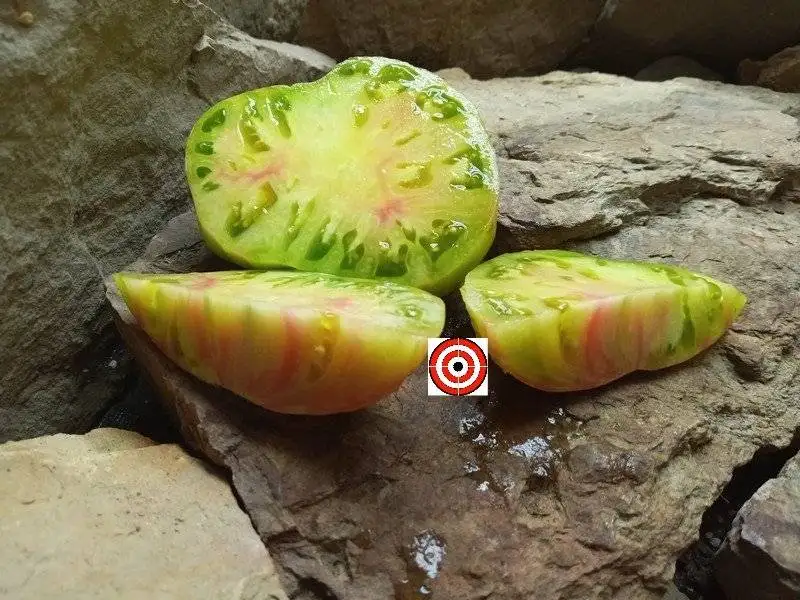 Annas Noire ( Black Pineapple) Tomato