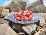 Brandywine Cherry Tomato