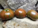 Chocolate Stripes Tomato-The Best Striped Beefsteak Tomatoes Seeds Available Here.