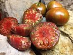 Chocolate Stripes Tomato-The Best Slicing Heirloom Tomatoes Seeds Available Here.
