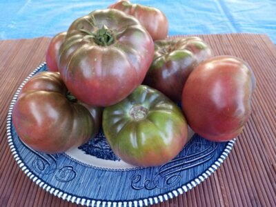 D.B. COOPER THE BEST MILLARD MURDOCK HEIRLOOM TOMATO - Bounty Hunter ...