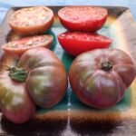 DB COOPER TOMATO BREEDER MILLARD MURDOCK