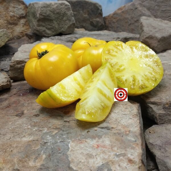 Banksia Queen Dwarf Tomato