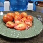 Dwarf Fuzzy Wuzzy Tomato