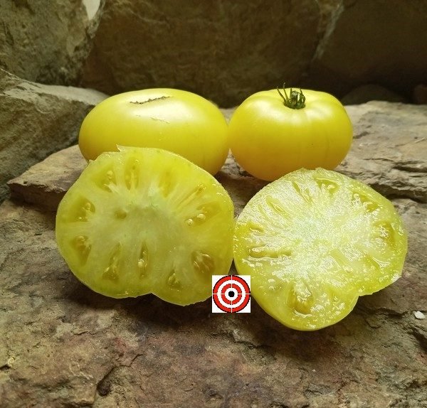 Dwarf Moliagul Moon Tomato