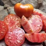 ELI TOP 10 1 POUND PLUS RED HEIRLOOM TOMATOES