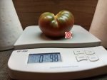 Elbonian Mudball Beefsteak Tomato