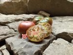 Elbonian Mudball Black Tomato
