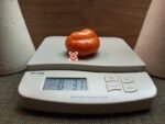 Flat Rose Slicing Tomato