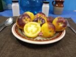 Fuzzy Blue Balls Tomato